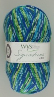 WYS - Signature 4 Ply - Country Birds - 851 Peacock